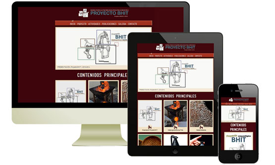 Diseño y Desarrollo de Sitios Web